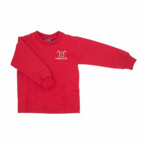 Ays, camiseta manga larga